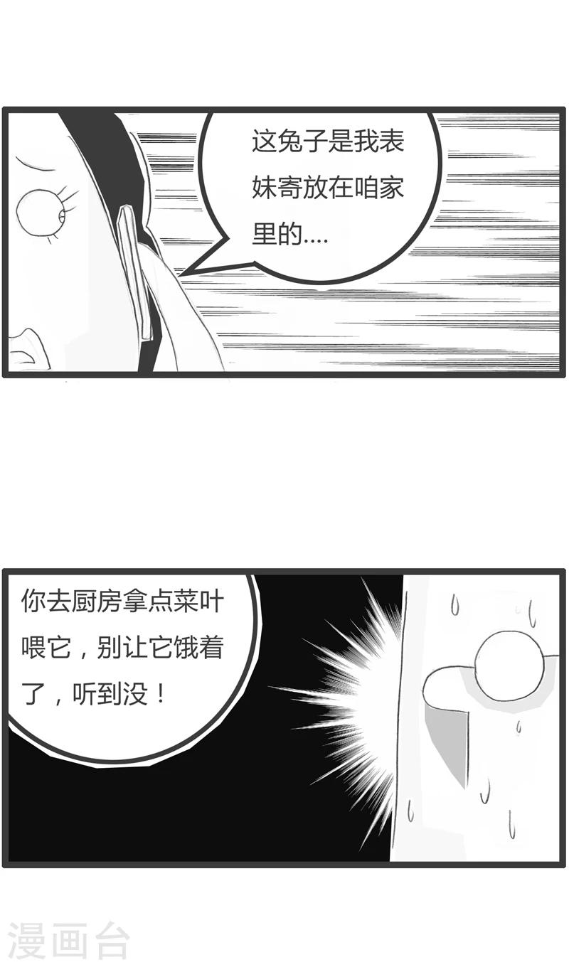 第249话 兔子喂了没-第249话