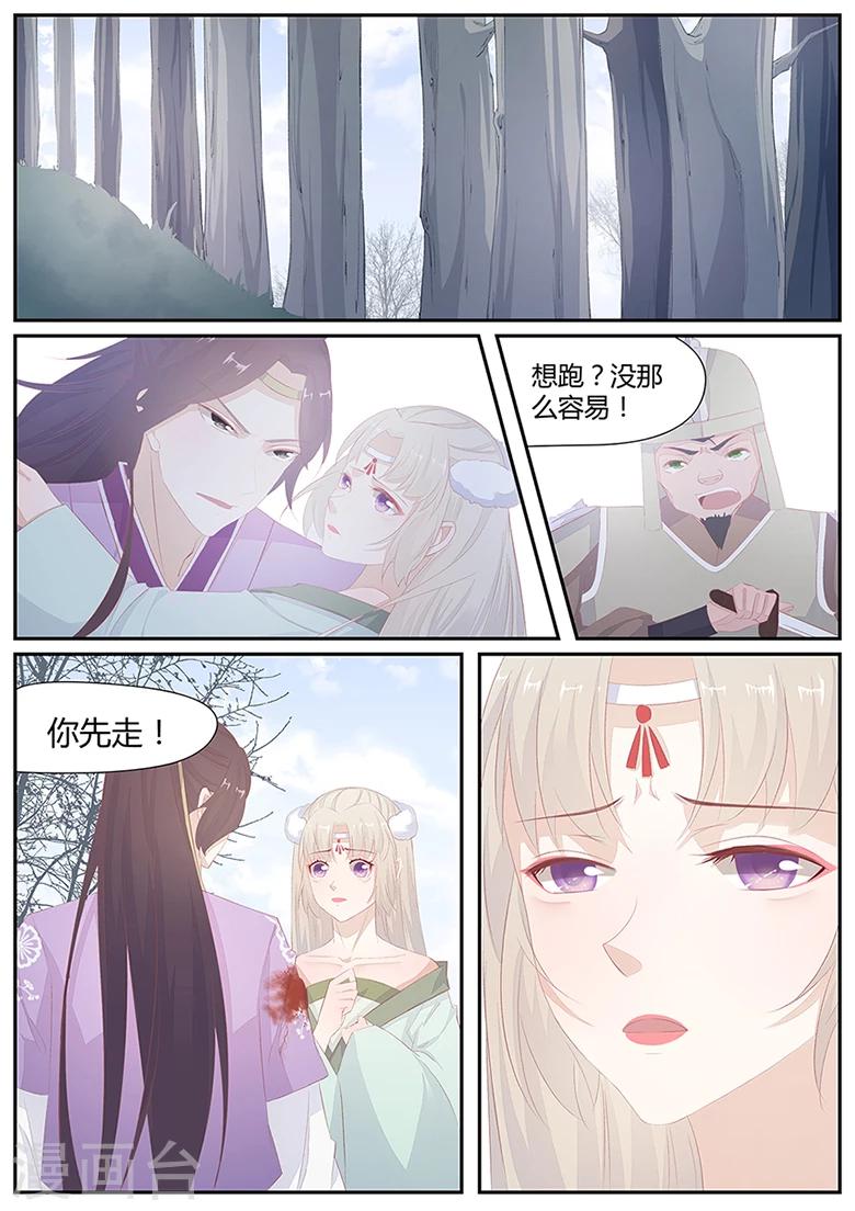 第13话 狐威初显-第13话
