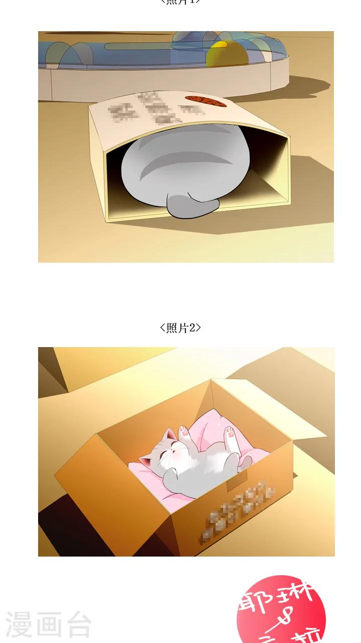 第31话-第31话