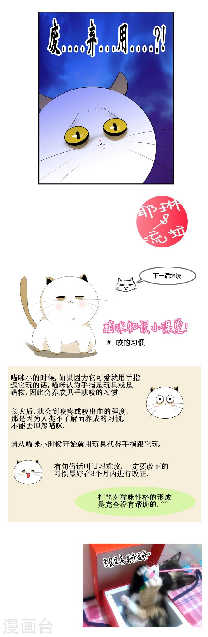第39话-第39话