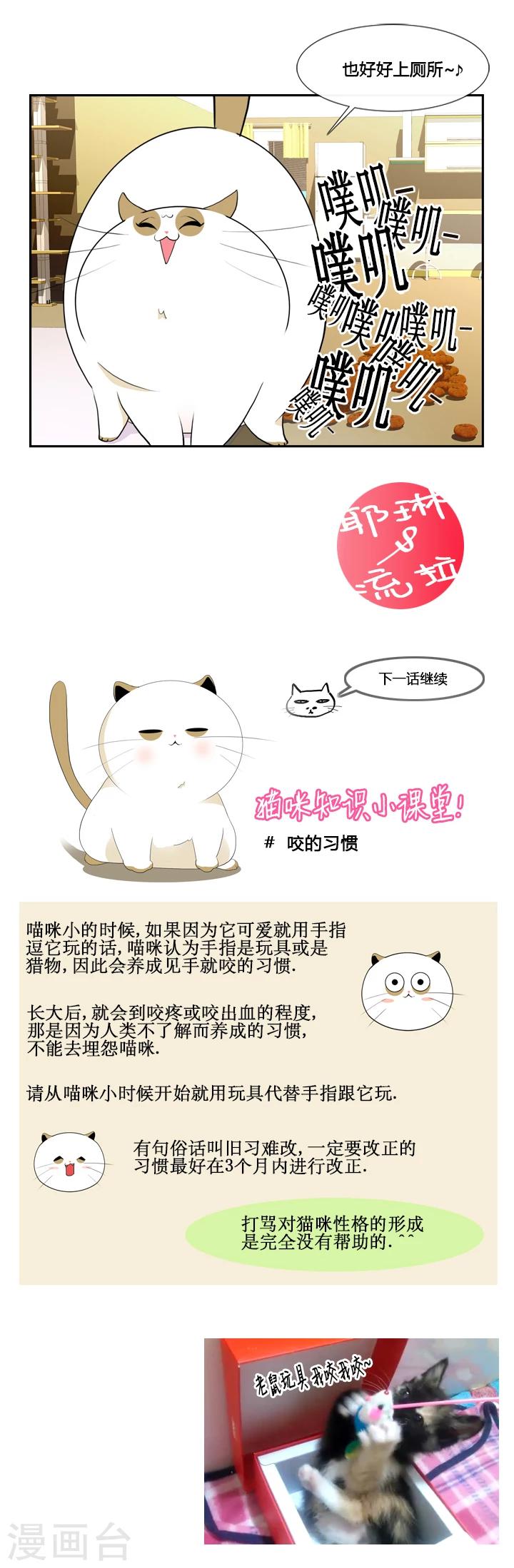 第41话-第41话