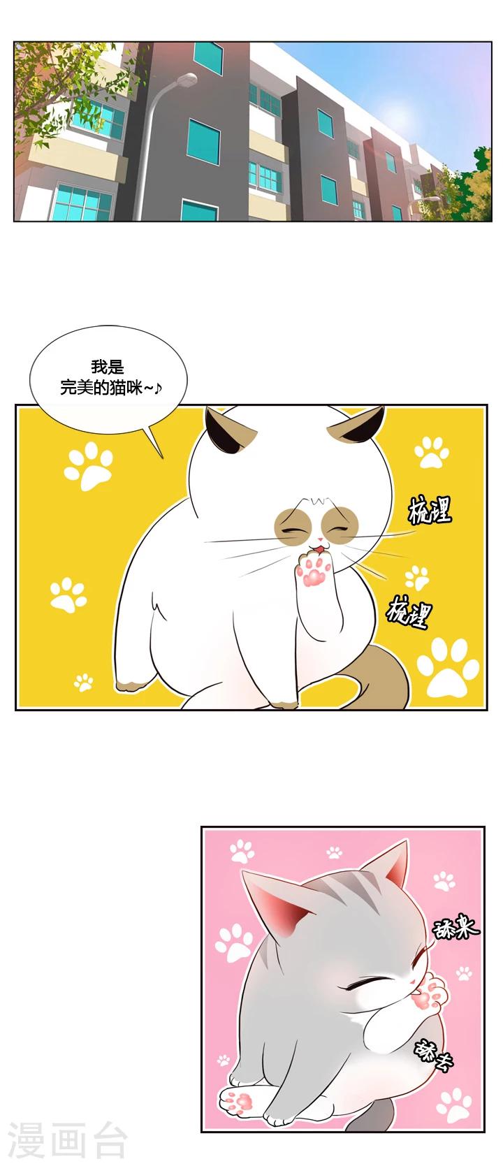 第41话-第41话