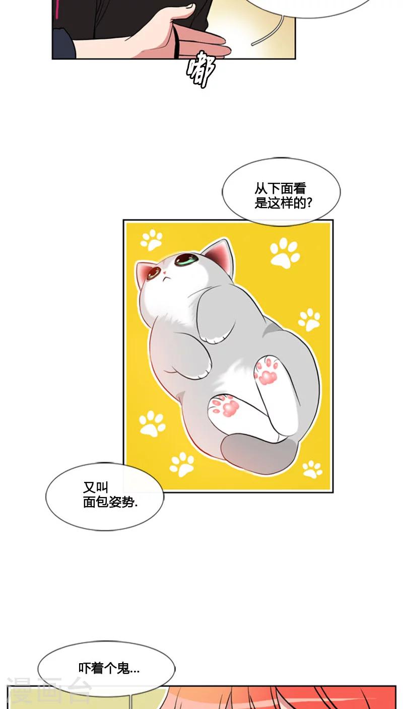 第63话-第63话
