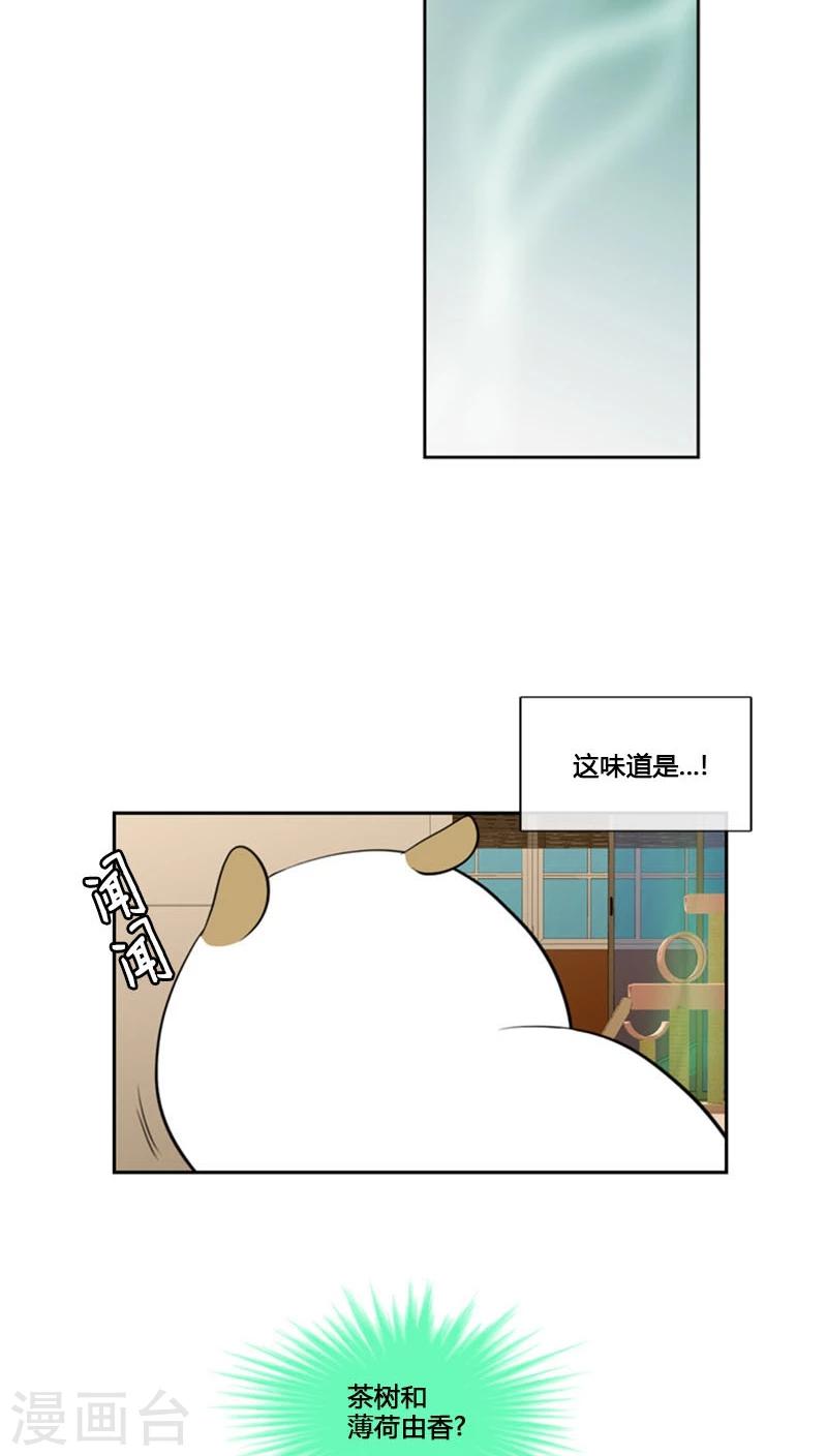 第79话-第79话