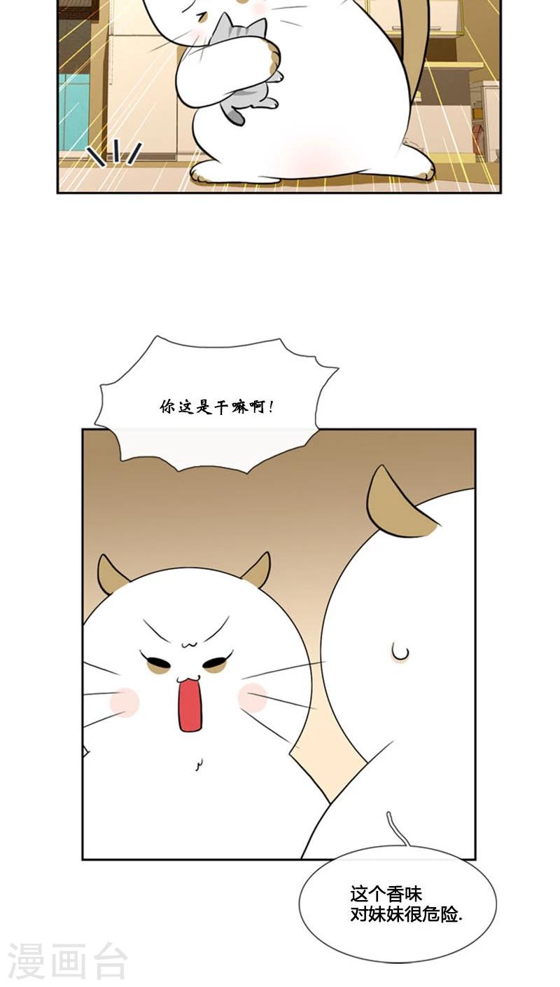 第79话-第79话