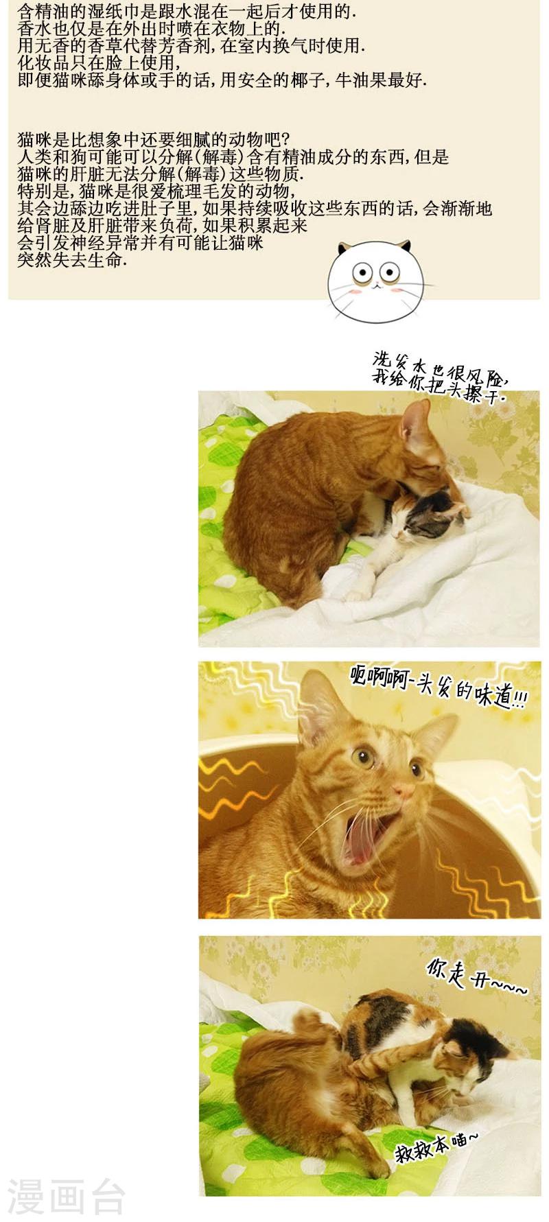 第79话-第79话