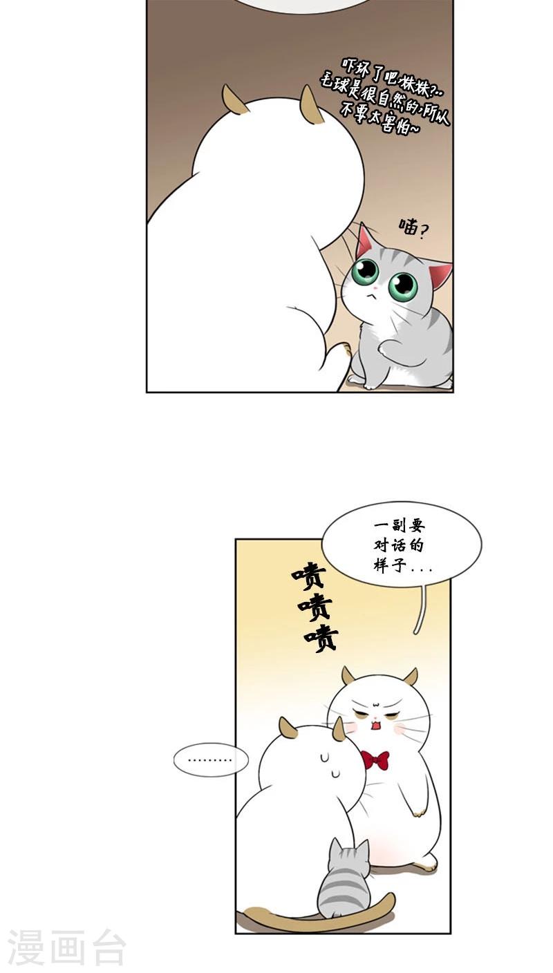 第81话-第81话