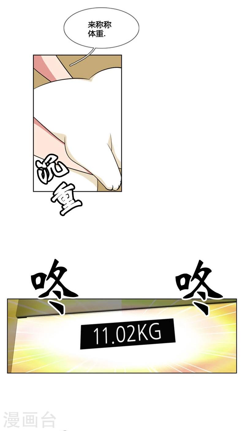 第81话-第81话