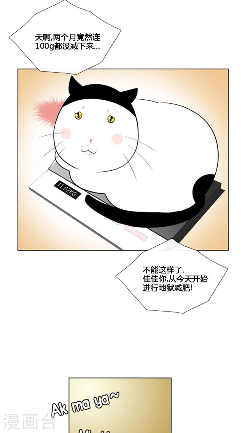 第81话-第81话