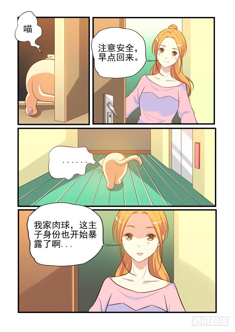 吃醋的肉球！-第45话