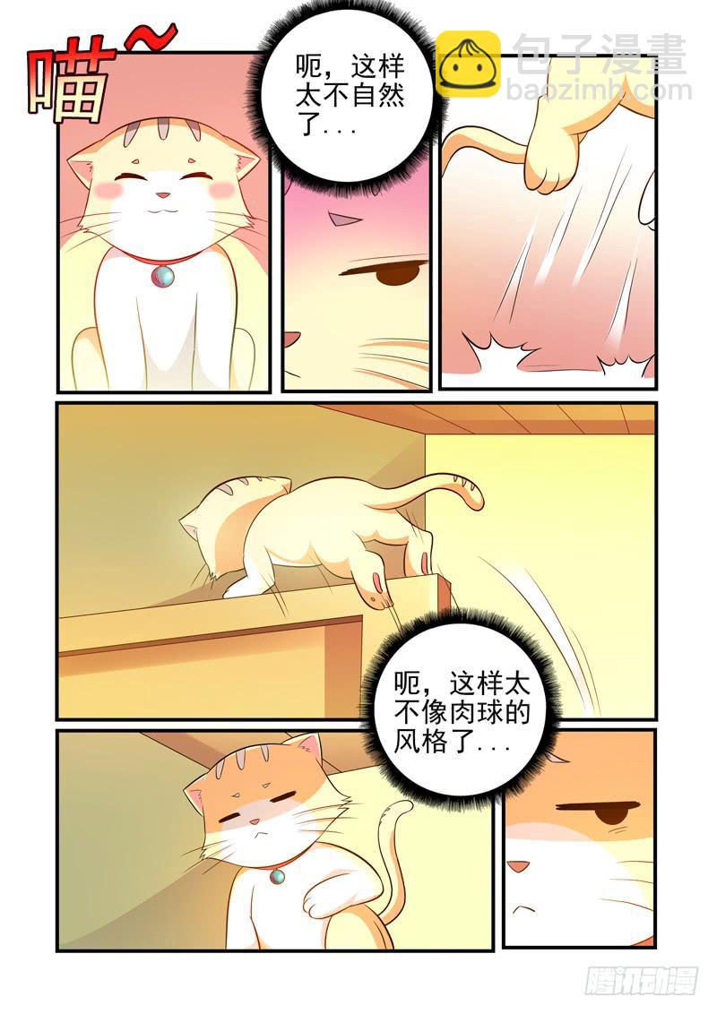 吃醋的肉球！-第45话