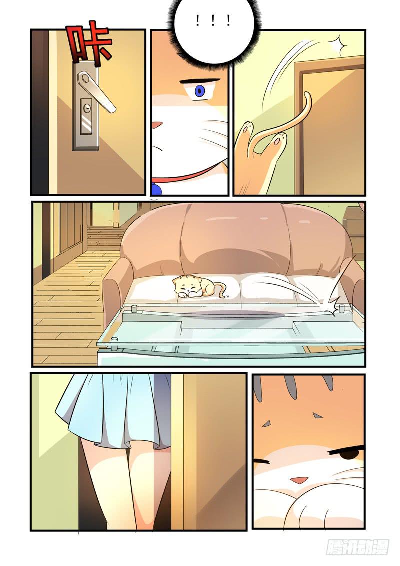 吃醋的肉球！-第45话