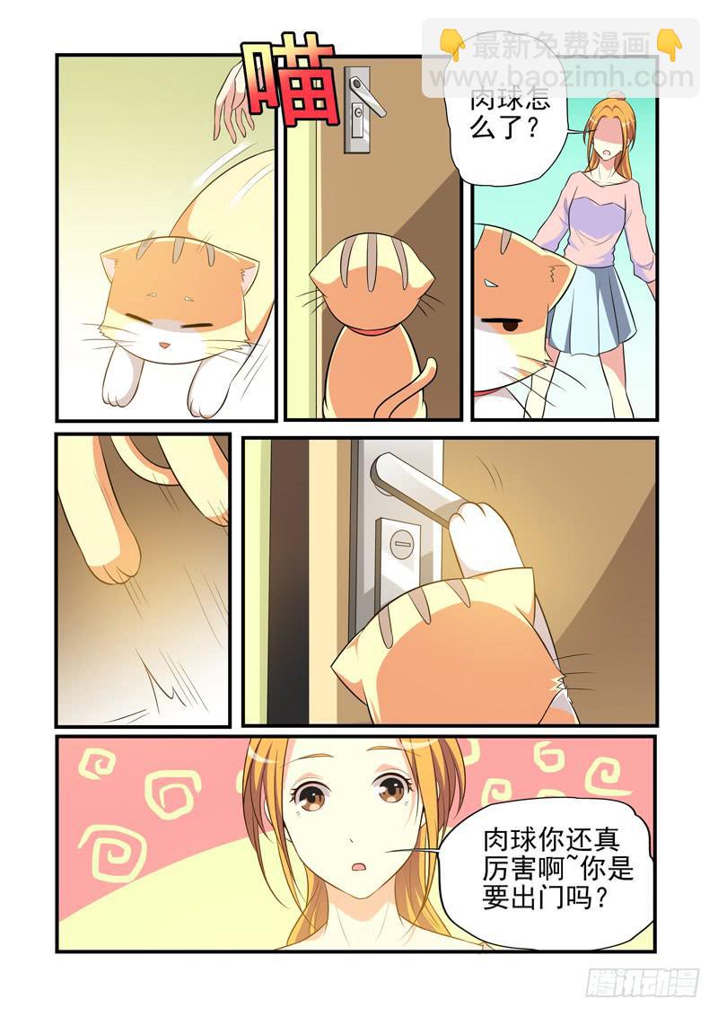 吃醋的肉球！-第45话