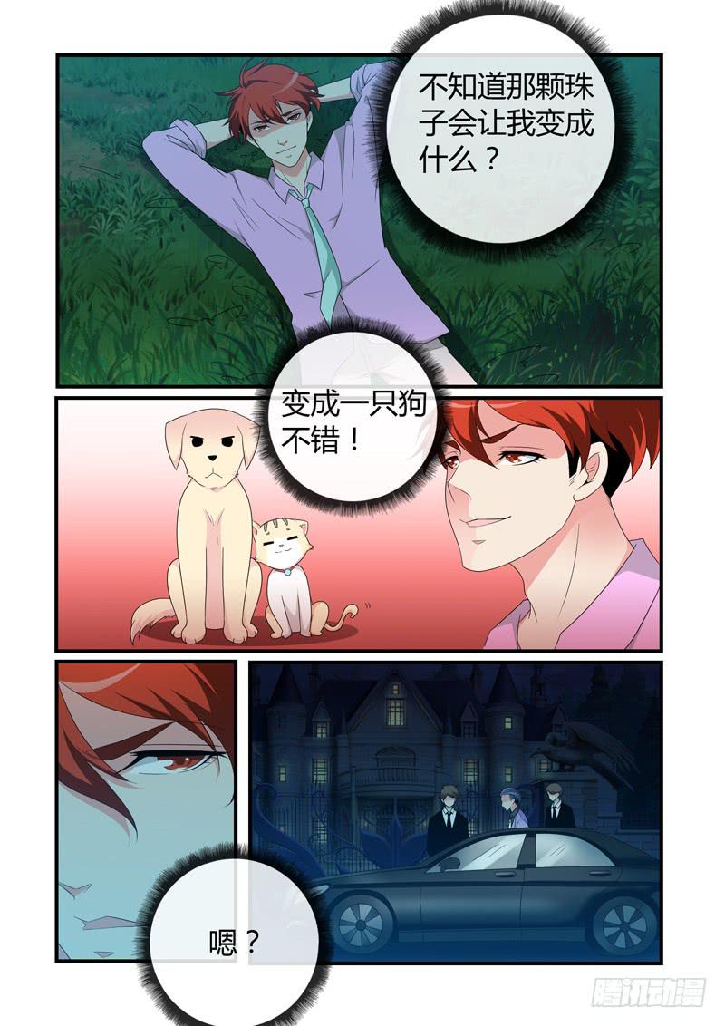交手-第53话
