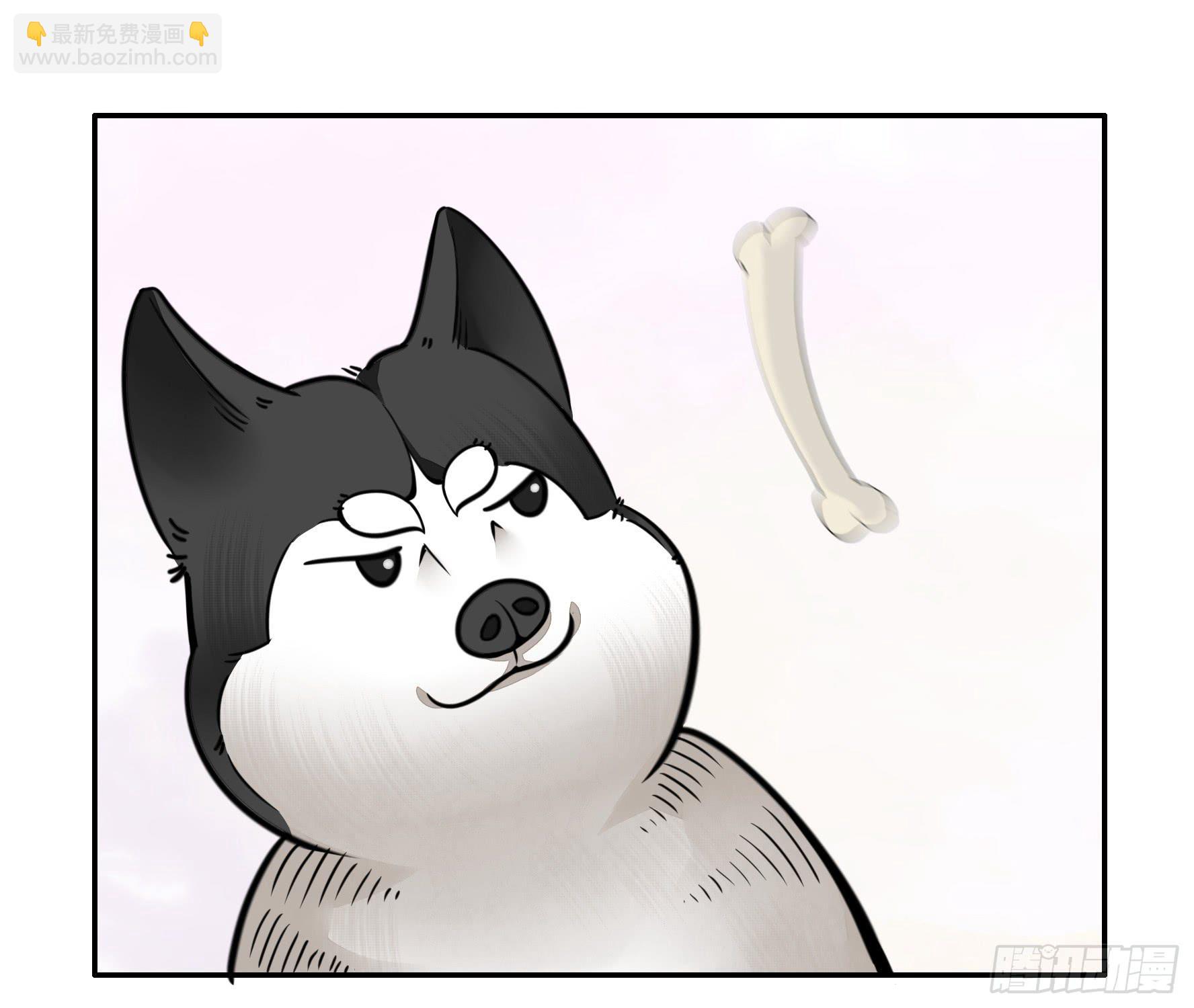 就决定是你了！哮天犬！-第47话