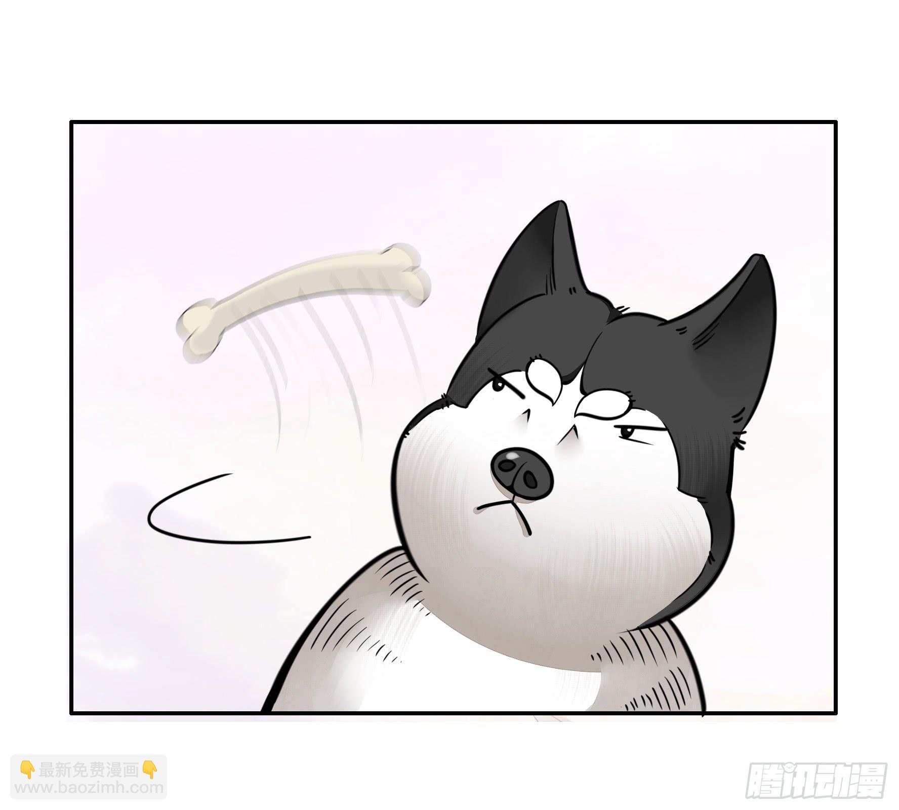 就决定是你了！哮天犬！-第47话
