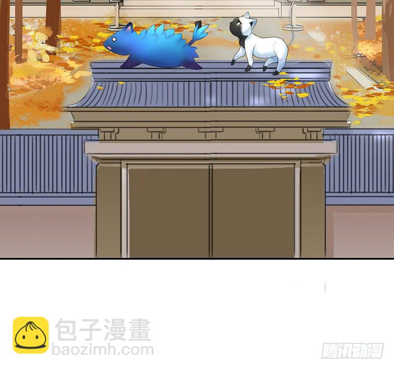 我想死你们啦！-第55话