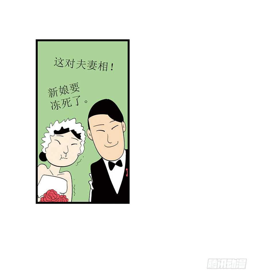 最美(1/2)-第11话