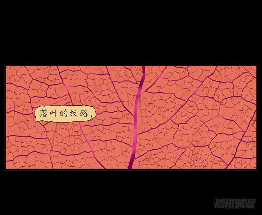 罗螺的猫城-第9话