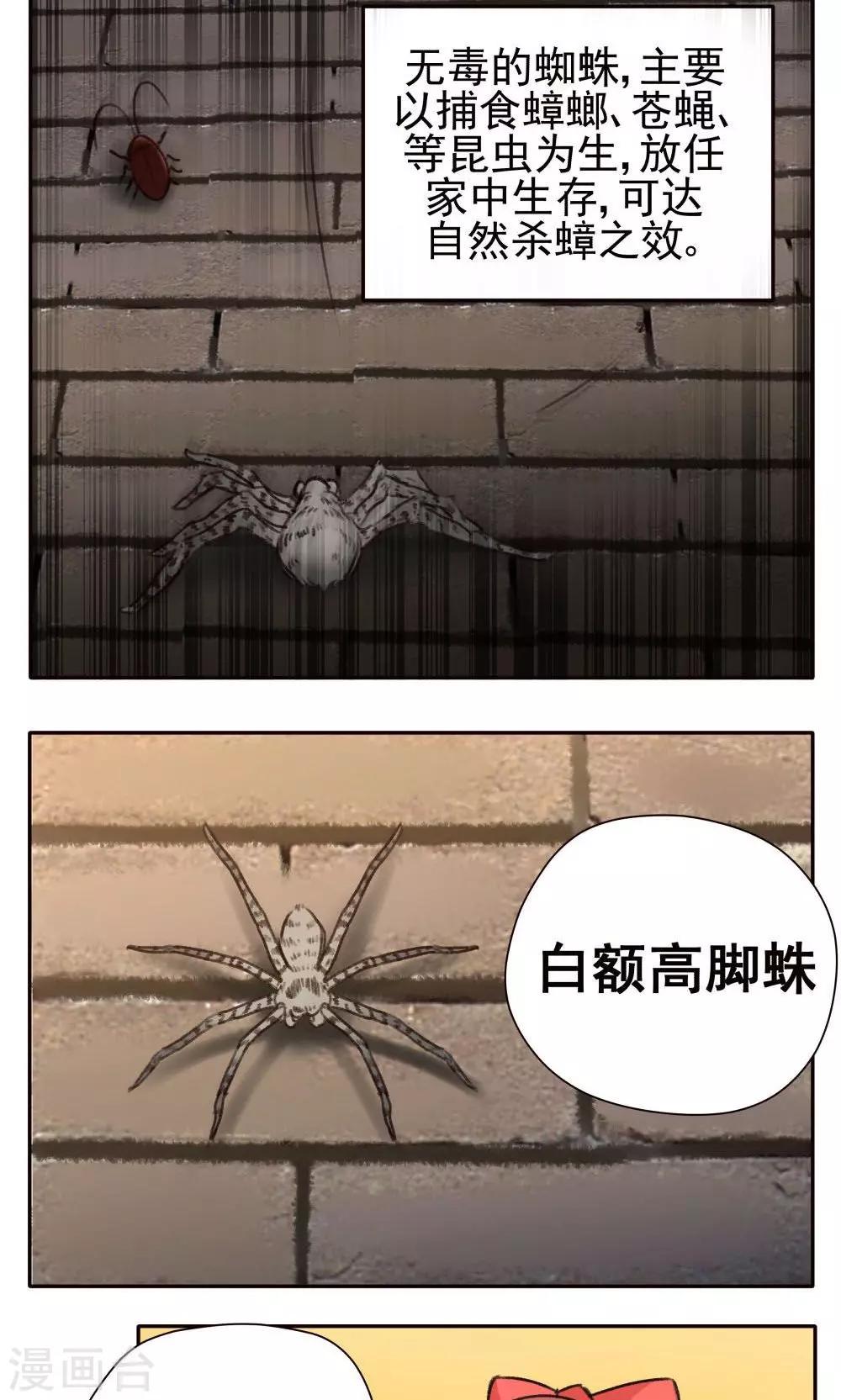 第33话-第33话