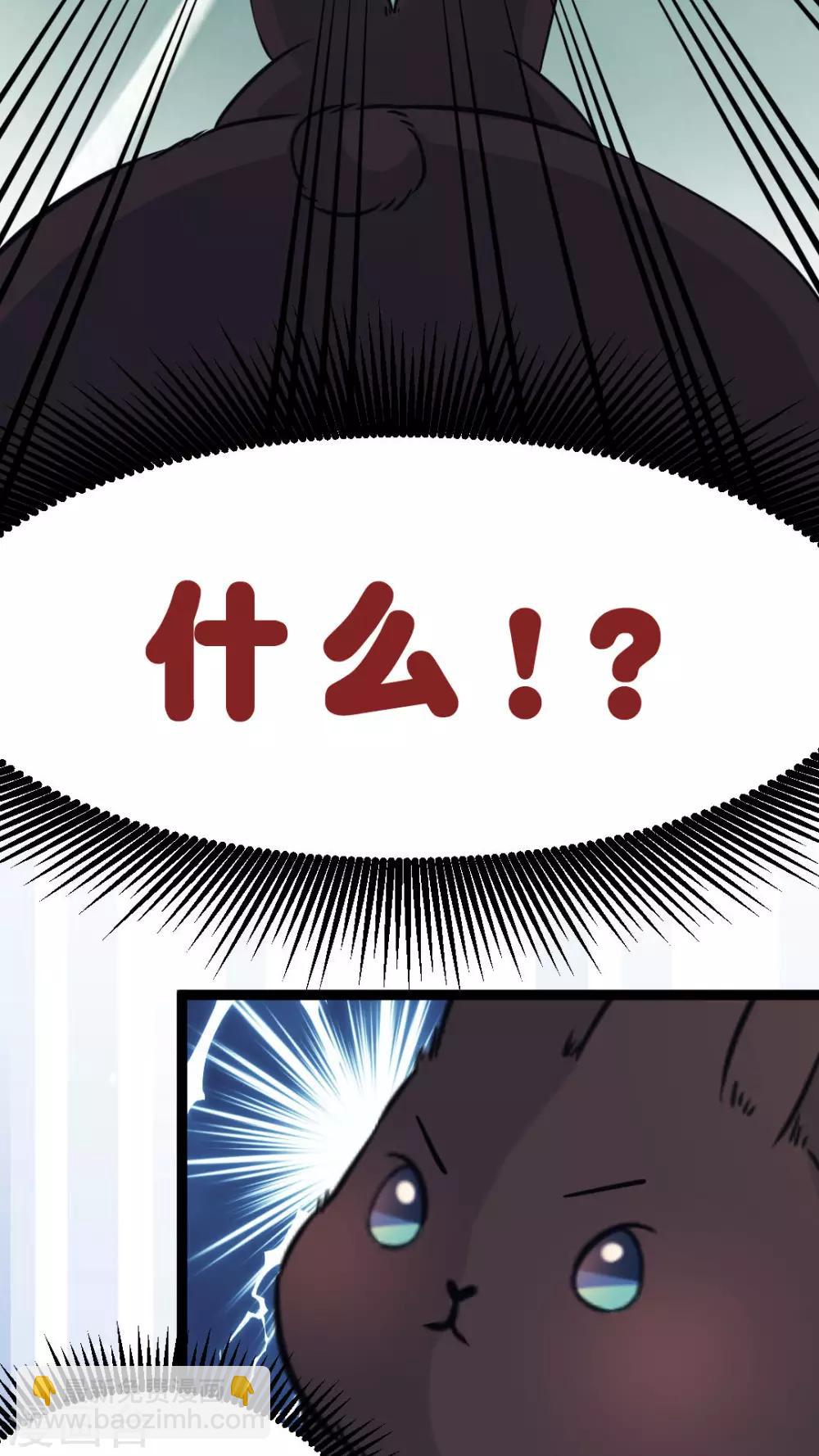 第35话 关于这只兔子的过去（2）-第37话