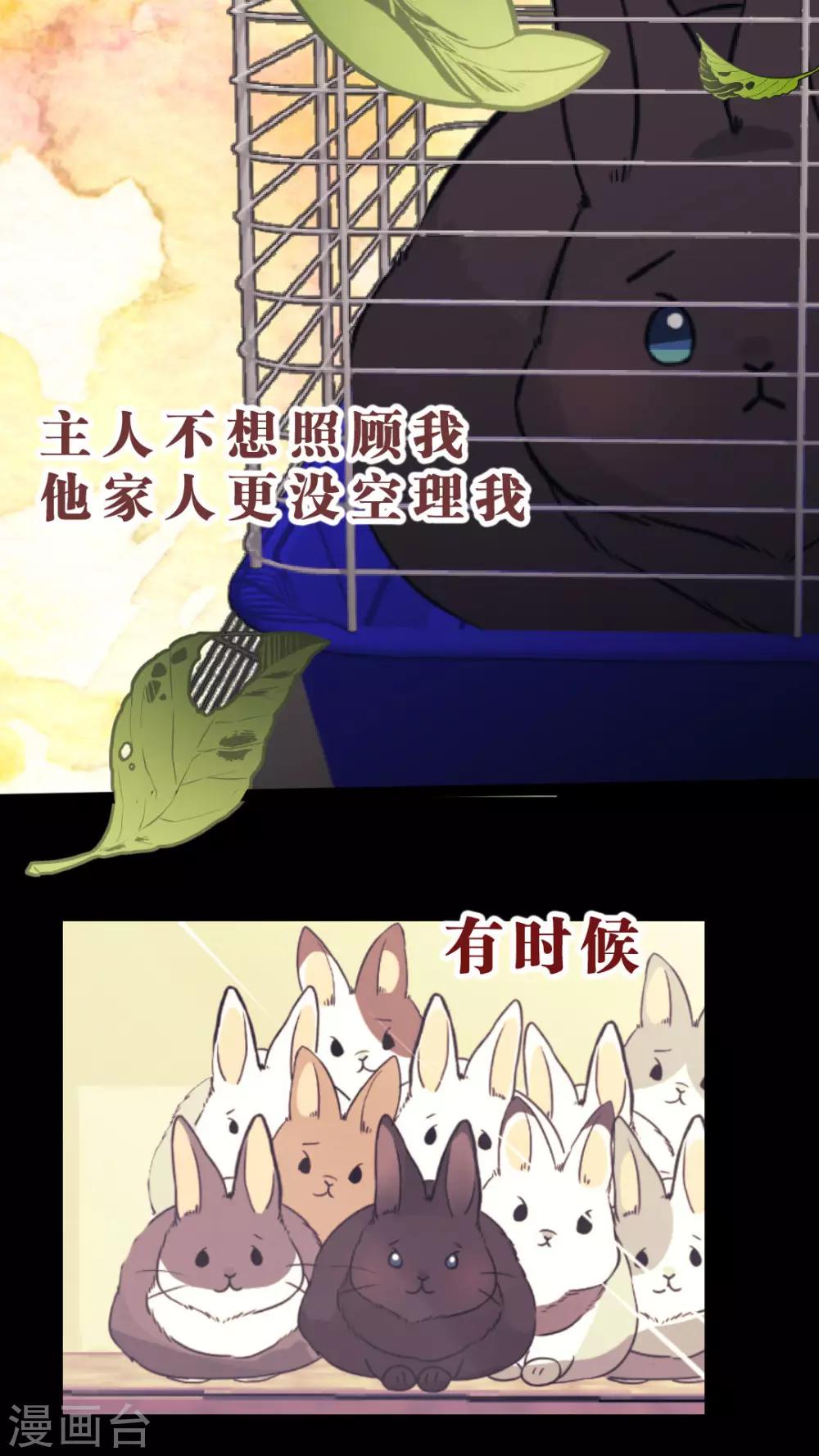 第35话 关于这只兔子的过去（2）-第37话