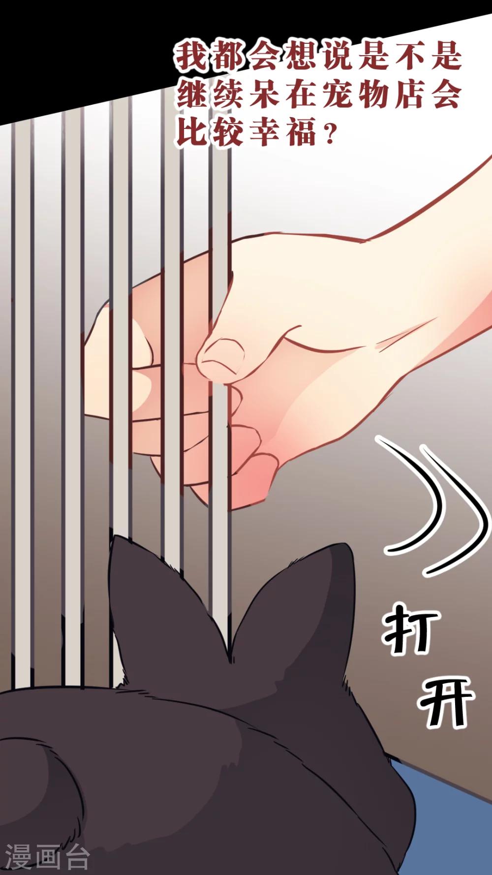 第35话 关于这只兔子的过去（2）-第37话