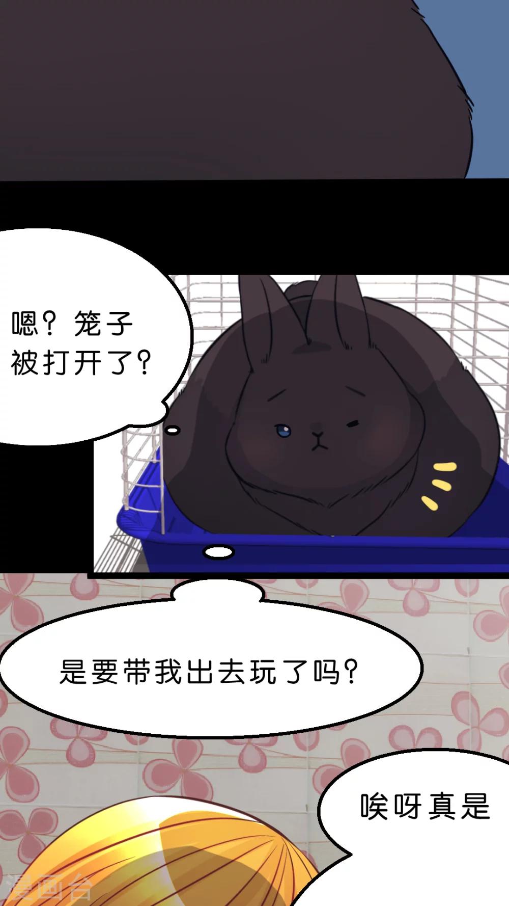 第35话 关于这只兔子的过去（2）-第37话