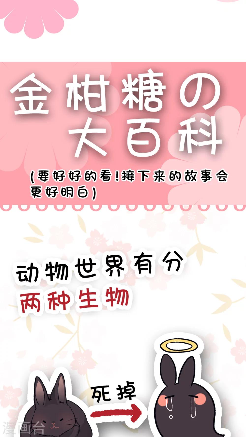 第41话 毛茸茸攻击-第43话