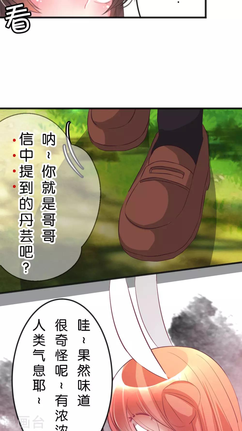 第44话 害怕失去-第47话