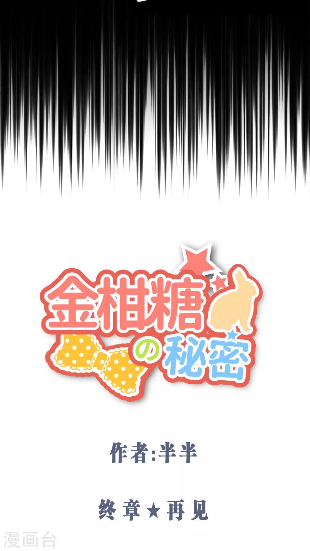 最终话 再见-第63话