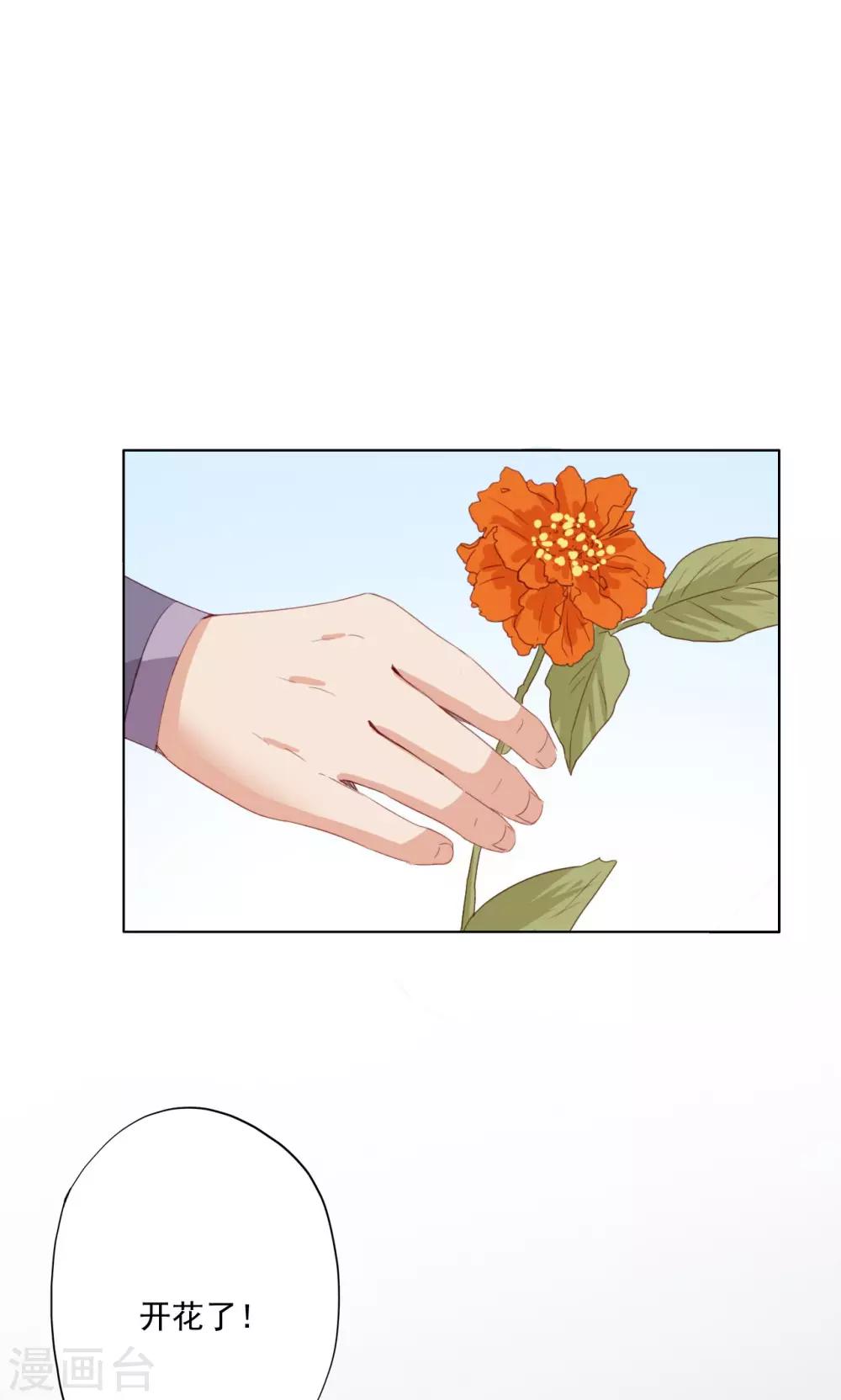 第72话-第73话