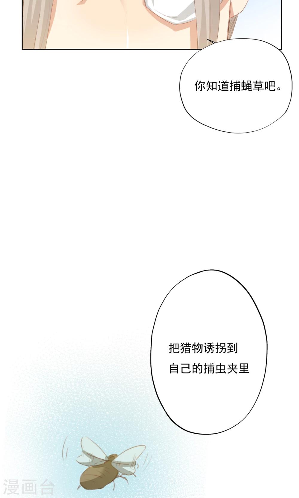 第76话-第77话