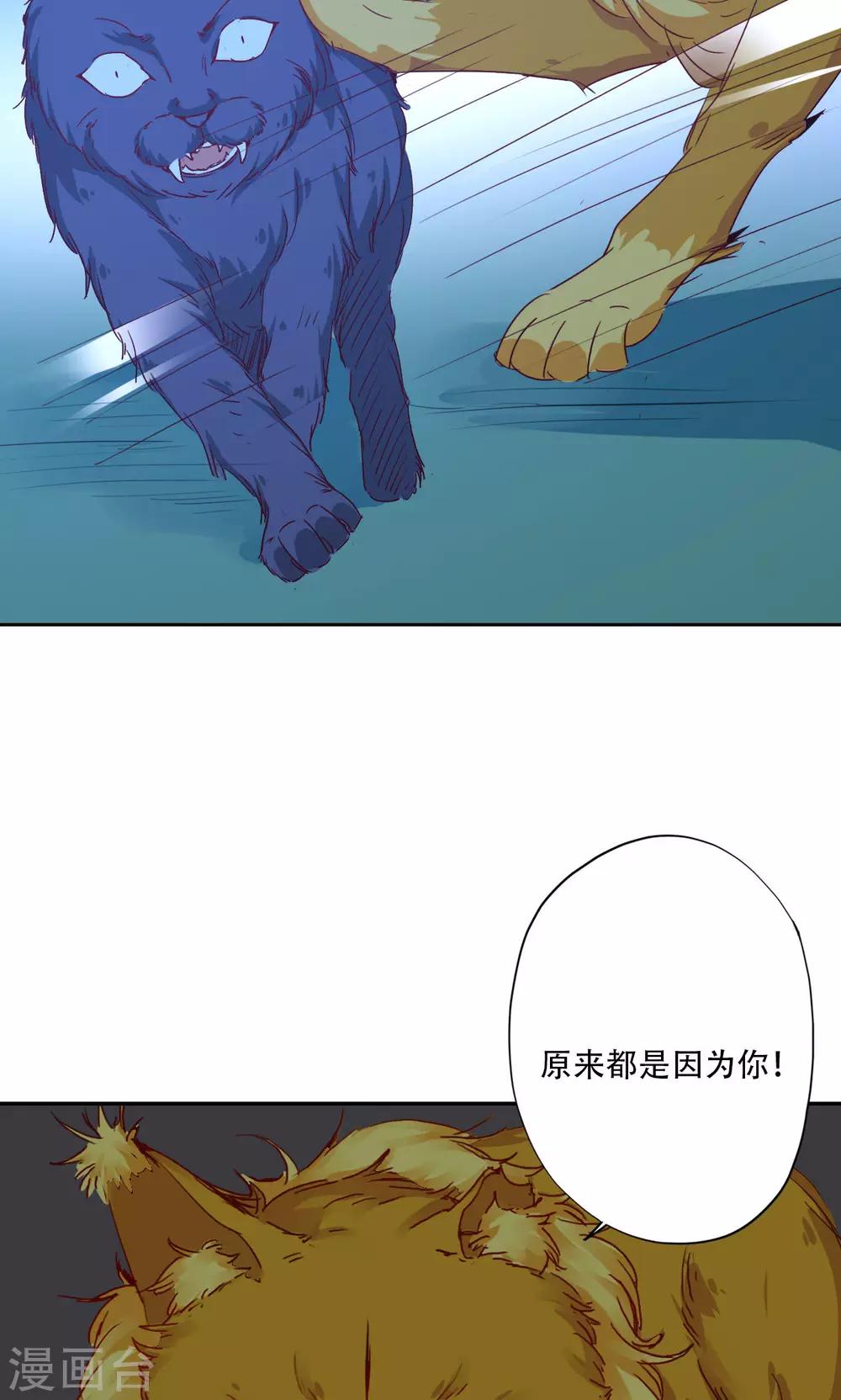 最终话-第99话