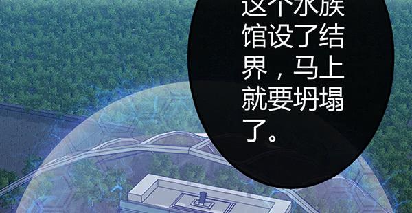 9块9包邮哦亲~(1/3)-第35话