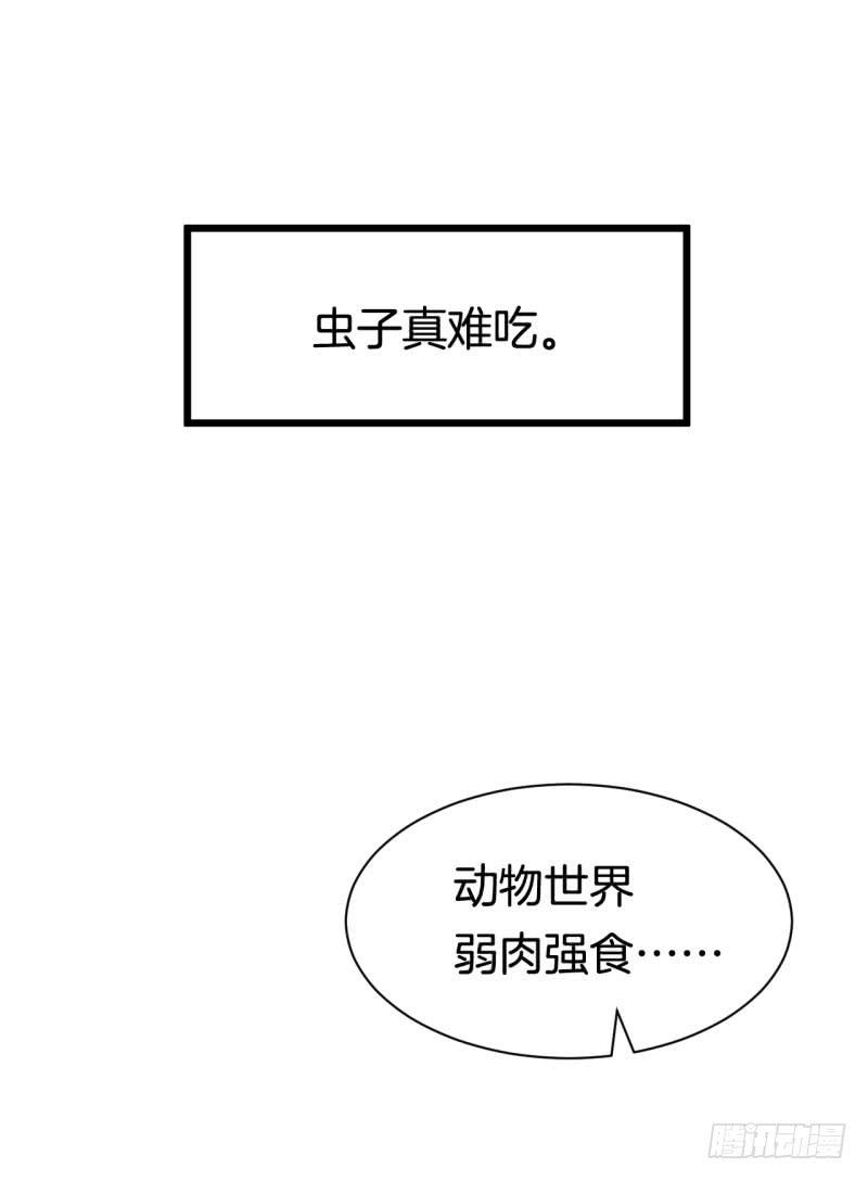 033黑眼圈不是坏妖怪（一）(1/2)-第37话