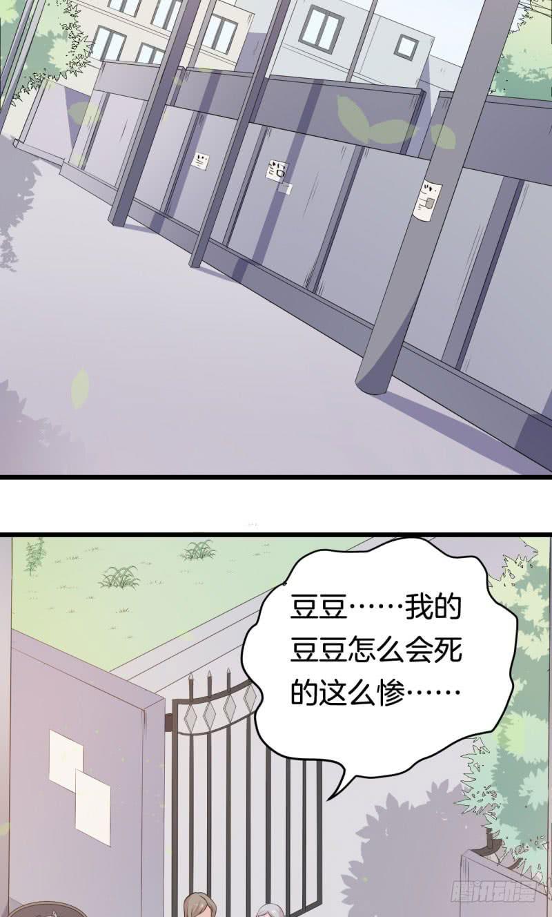033黑眼圈不是坏妖怪（一）(1/2)-第37话