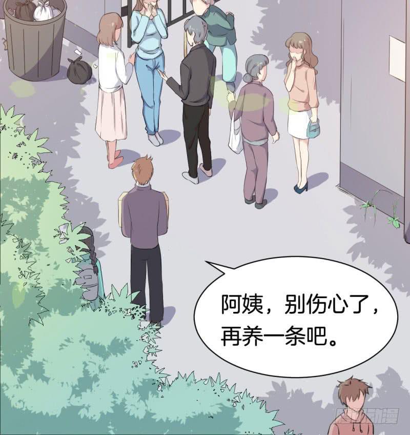 033黑眼圈不是坏妖怪（一）(1/2)-第37话
