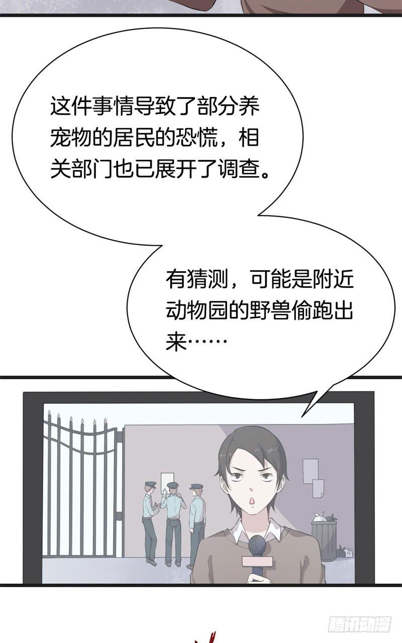 033黑眼圈不是坏妖怪（一）(1/2)-第37话