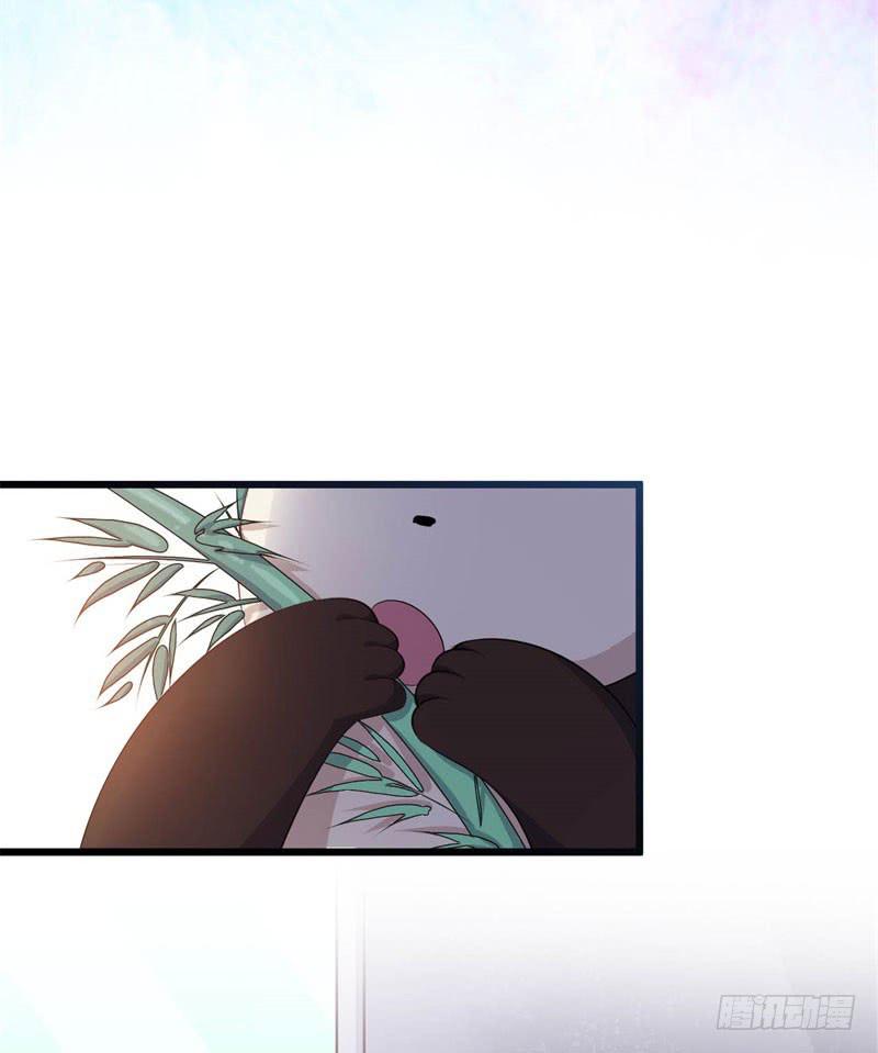 041黑眼圈不是坏妖怪（九）(1/2)-第45话