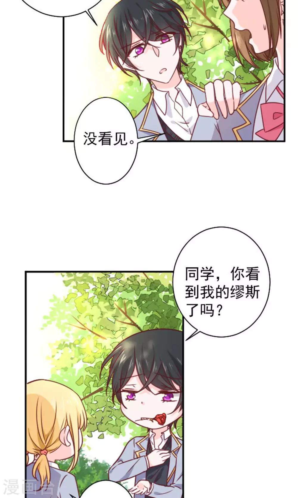 第14话 我的缪斯-第15话