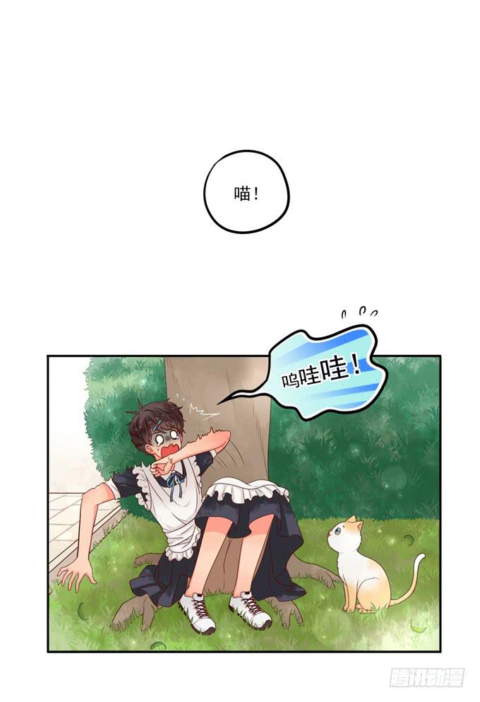 第1话：来做我的搭档吧！(1/2)-第1话