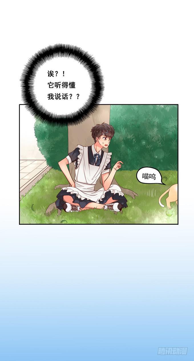 第1话：来做我的搭档吧！(1/2)-第1话