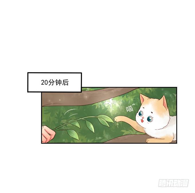 第1话：来做我的搭档吧！(1/2)-第1话