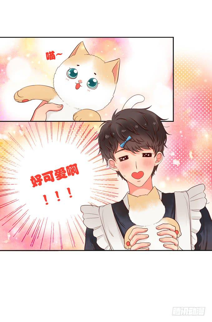 第1话：来做我的搭档吧！(1/2)-第1话