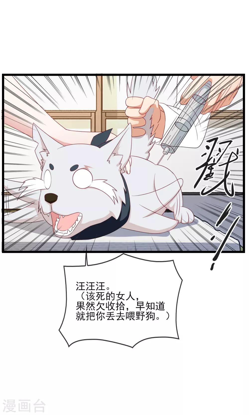 第20话 狗狗不绝育会发情-第21话