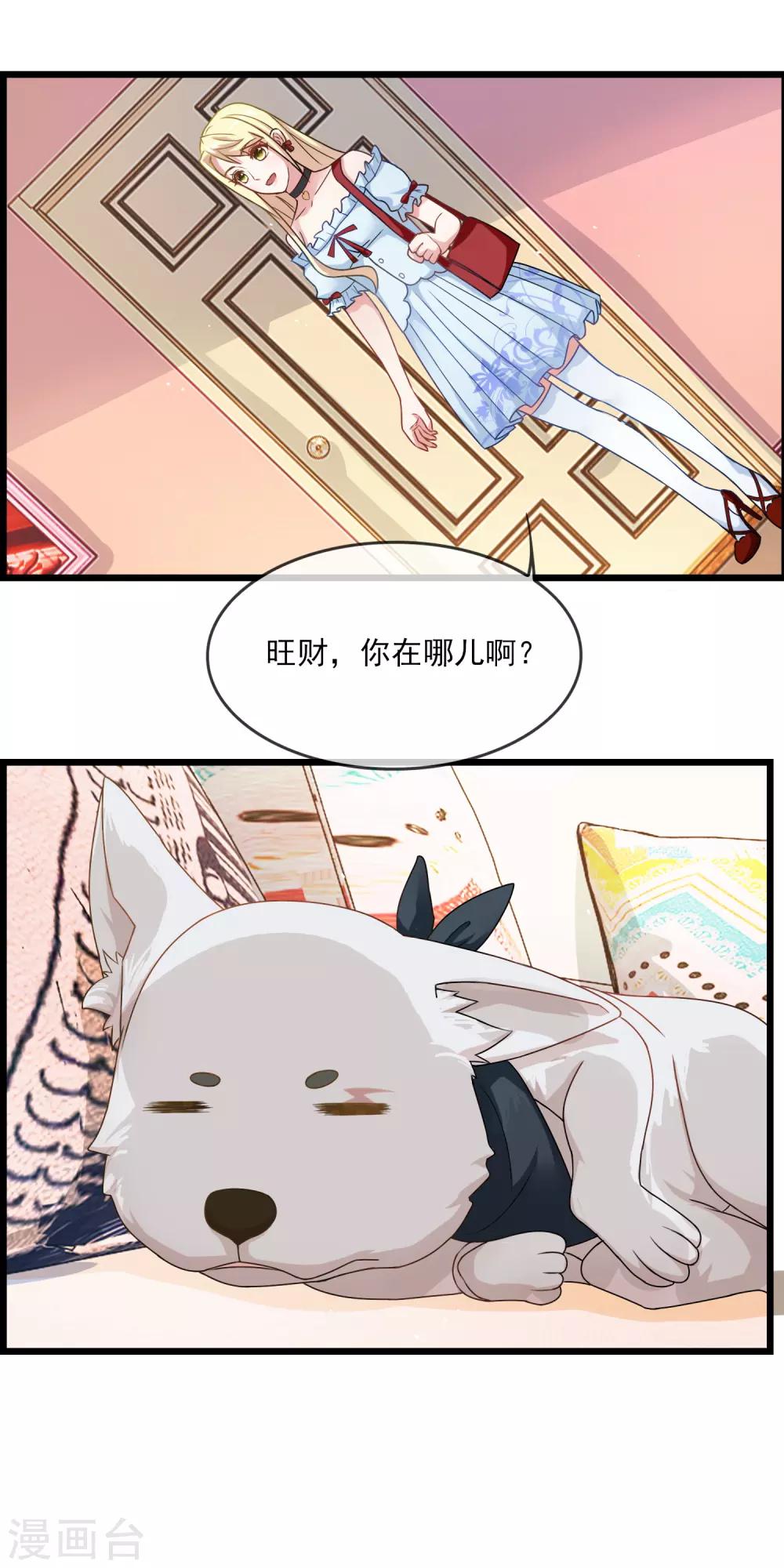 第20话 狗狗不绝育会发情-第21话