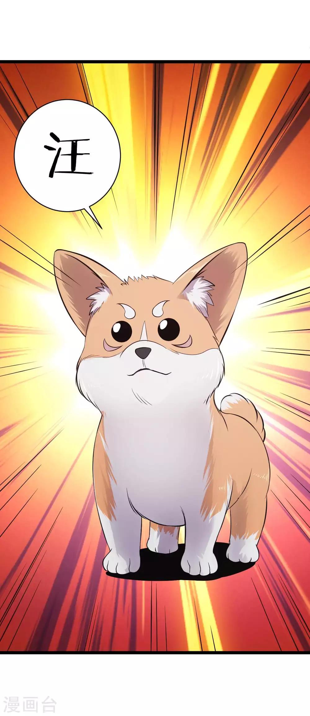 第14话 魔犬柯基，参上！-第15话