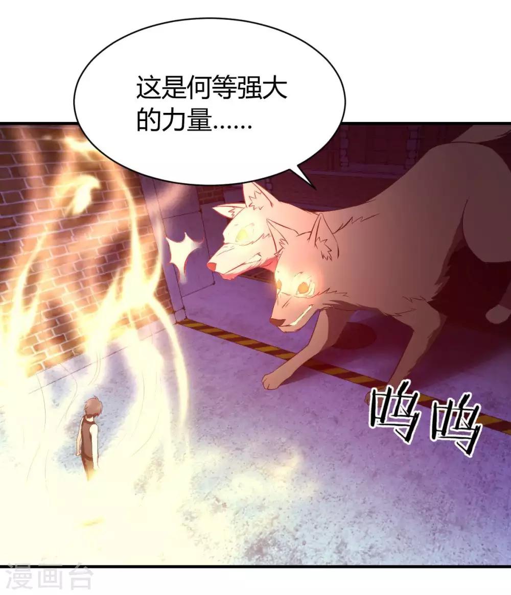 第20话 菜鸡互啄2-第21话