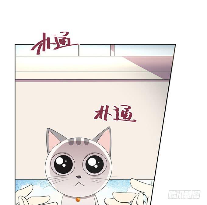 第一话(1/2)-第1话